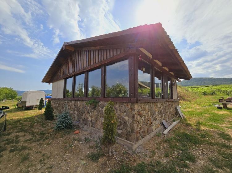 Teren agricol extravilan de 80000 mp, în Covăsinț