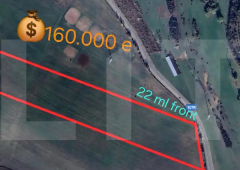 Teren de investitie in localitatea Ciurila - 3