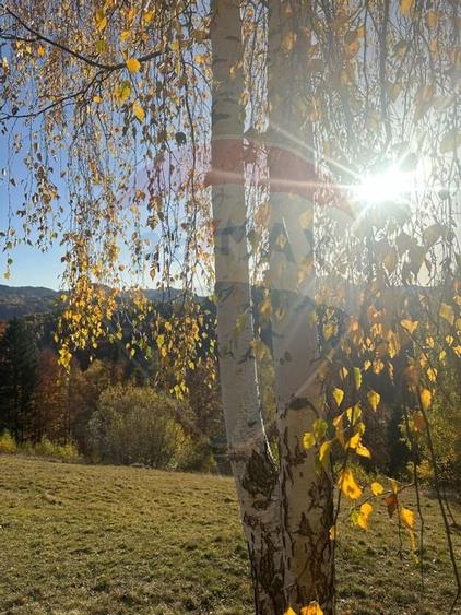 Oportunitate de investiție ! Teren de vis în Pestera - 125.370 mp - 20