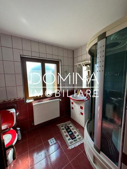 Vanzare proprietate impunatoare, strada Bujorului - cartier Primaverii - 7