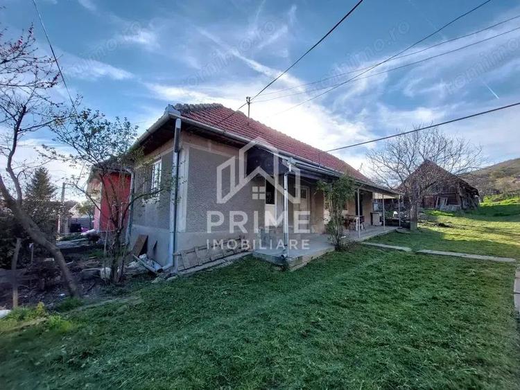 CASA TRADITIONALA 4 CAMERE, TEREN 3077, PETRISAT ALBA - 4