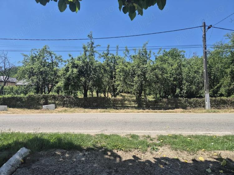 Vand teren intravilan 2295 MP in Bogati,jude?ul Arges - 4
