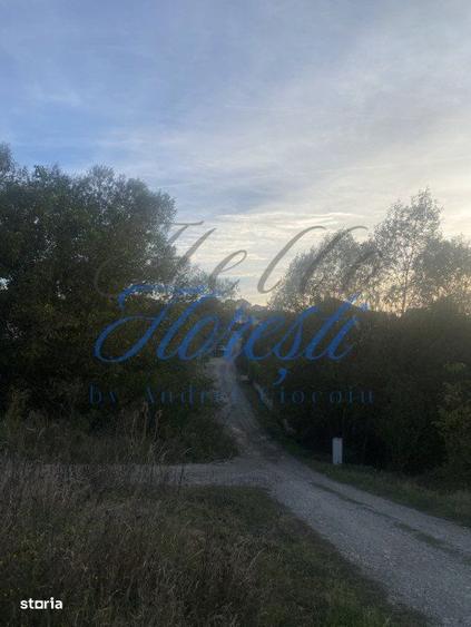 Vanzare teren intravilan 1900 mp - Dezmir, Cluj - 1