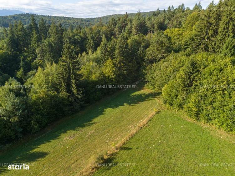 Teren 3.300 mp cu deschidere catre lac Vulcan, zona lacurilor - 6