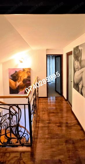 Casa de vanzare in Faget ( langa Restaurantul Roata Faget) - 19