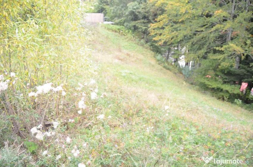 Busteni-Teren de vanzare cu o panorama superba - 9