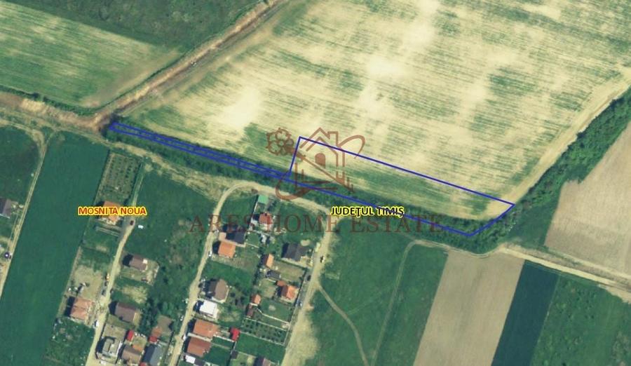 Teren parcelabil cu toate utilitatile 7.257 mp Moșnița Nouă – 20 €/mp - 6