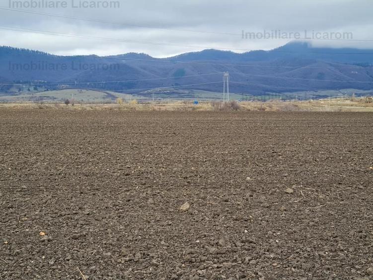 Teren Agricol 2,9 HA,intre Cristian si Vulcan/teren SPORT - 2