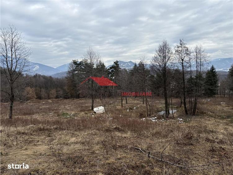 Teren cu 2 izvoare, Prundul Bargaului - 7