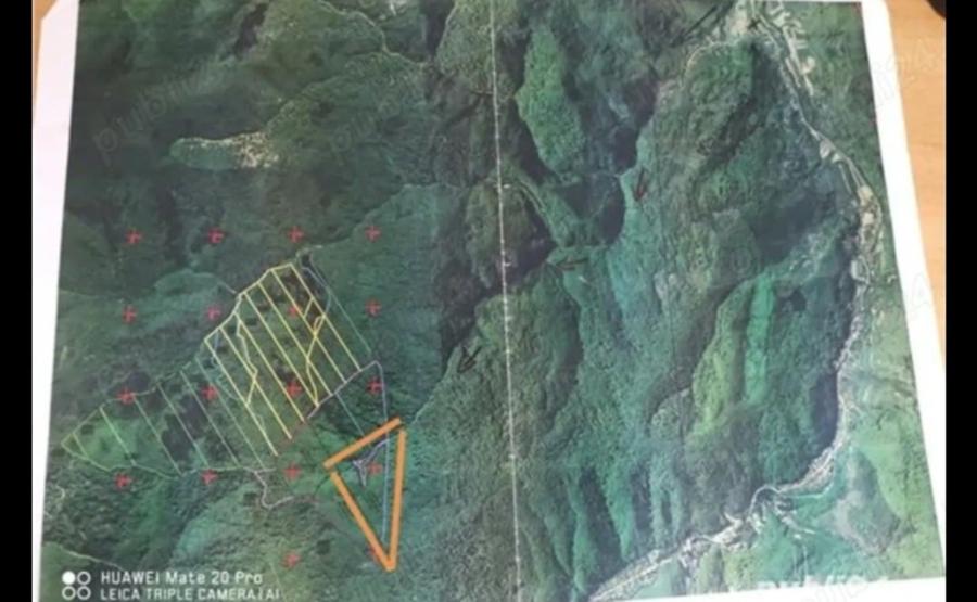 Vând pădure Moneasa - 1