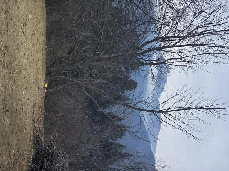 Teren de 2000 mp, în Hangu