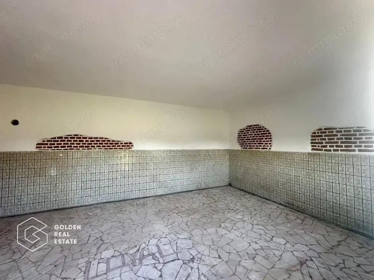 Teren intravilan 71.000mp, Barsa, Renumita Fabrica de caramida si casa 4 camere - 10