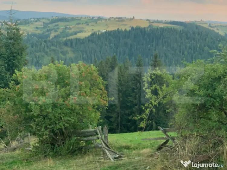 Teren intravilan, front la strada, 3321mp, utilitati, Marise - 8