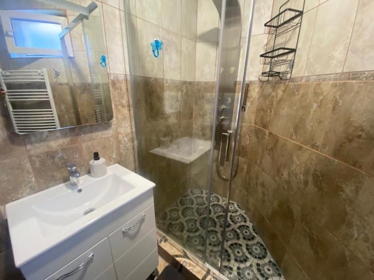 Inchiriere casa P+1 pet friendly curte comuna Cotroceni Medicina - 9