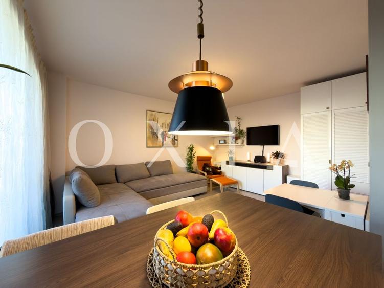 OX705 Aradului-Torontalului | IRIS - 3