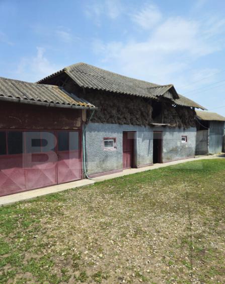 Oportunitate de achizi?ie Casa tradi?ionala, ideala - 12