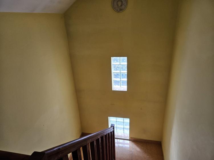 Două case individuale, P+M, construcții 2002/2007, în Giroc, comision 0% - 34