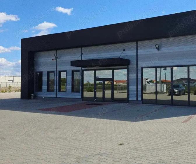Teren cu hala noua de vanzare, parc logistic Salonta Bihor - 11