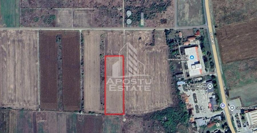 Teren Construcții intravilan de 10900 mp, în Sud
