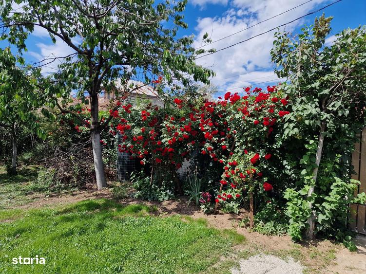 Teren ?i casa Militari Apusului - 3