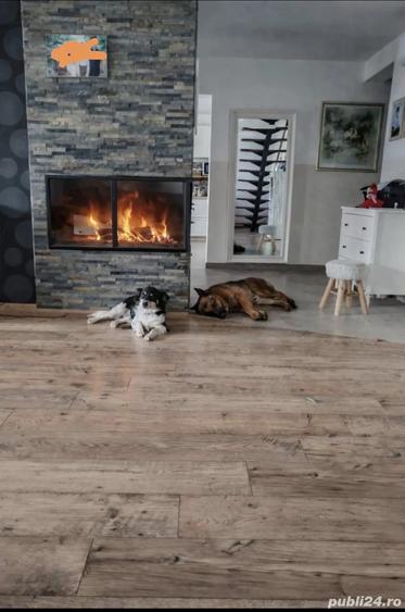 Proprietate deosebita de vanzare cu eficien?a energetica excep?ionala, natura pura - 5