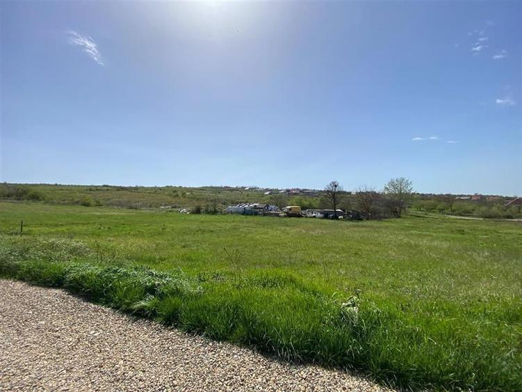 RECO Teren intravilan in  Oradea str Beldiceanu 881mp - 2