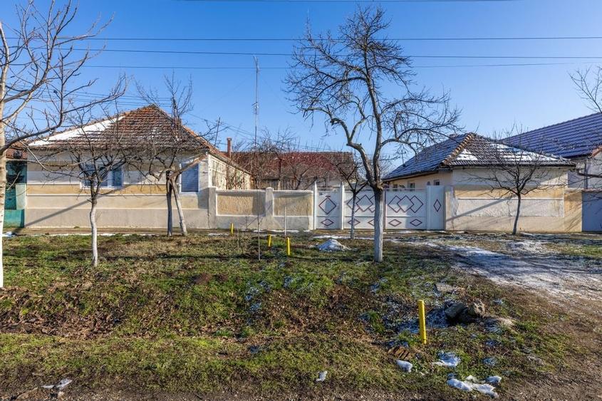 Gospodarie autentică bănățeană, cu teren generos și livadă – Frumușeni - 1