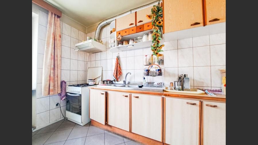 Comision 0%! Casa individuala, teren 994 mp, zona Calea Dumbravii - 19