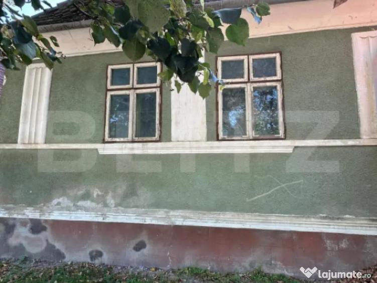 Casa saseasca de vanzare, curte, gradina, teren 3000 mp - Ji - 9