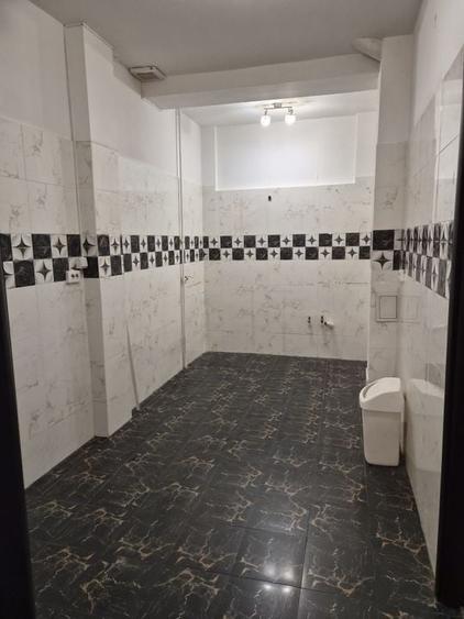 De vânzare Vilă individuala 11 camere curte proprie Parcul Carol - 14