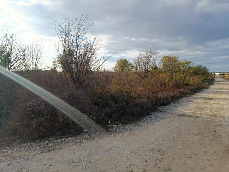 Teren pentru Constructii str.Ortansei -str Orhideei deschidere 364m pe 30m - 3