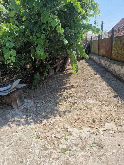 Casa de vanzare aproape de strand termal ?i centru Deta la 45 km de Timisoara - 3