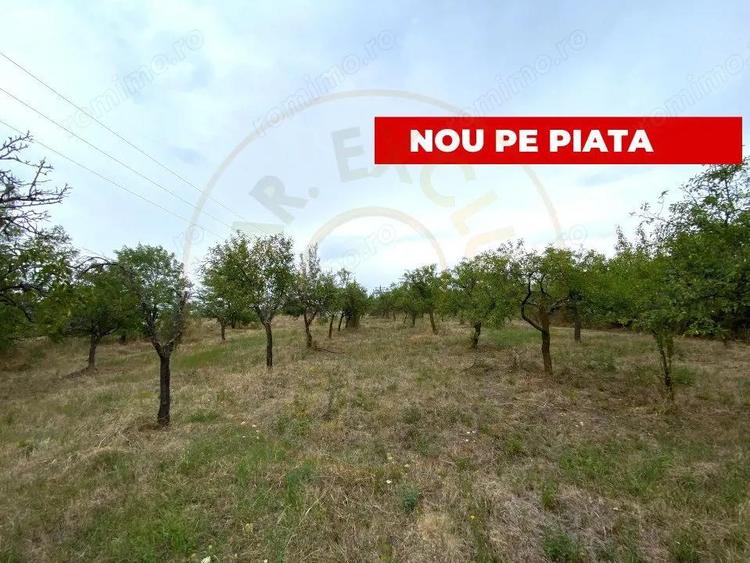 Teren intravilan 1.765 mp in Poiana Lacului, AG - 1