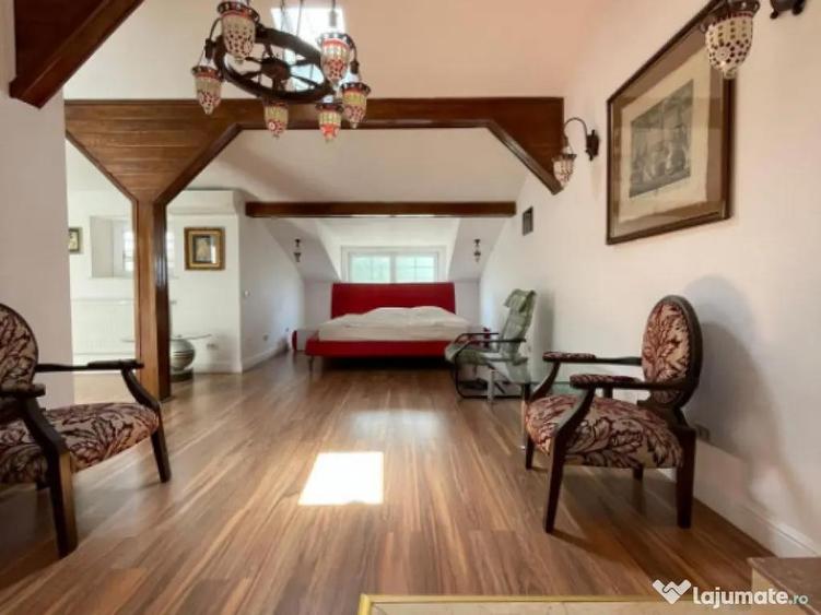 Parcul Carol I Vila de inchiriat pentru birouri - 7