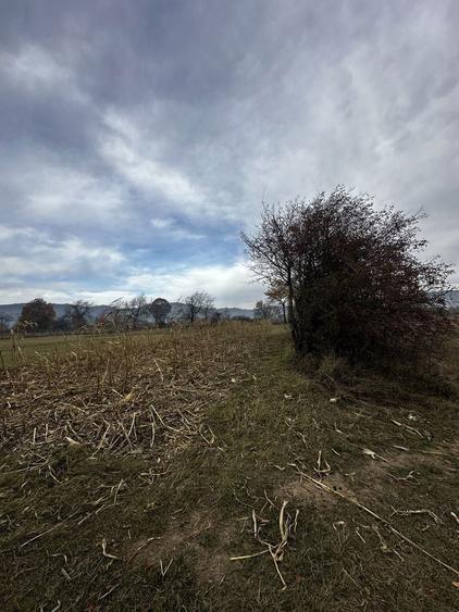 Teren extravilan 2.133 mp - Gura Humorului - 2