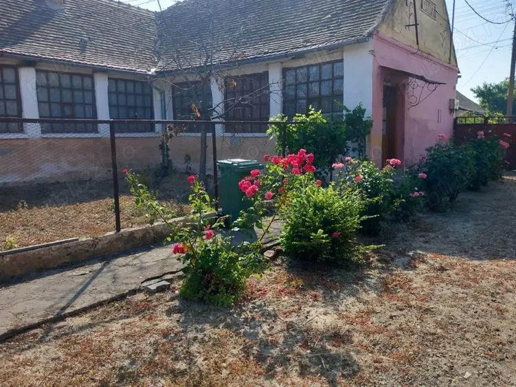 Casa batraneasca cu teren generos 2877 mp in satul Brestea (comuna Denta, jude?ul Timi?) - 5