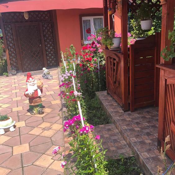 Casa vanzare Vulpeni Olt - 5