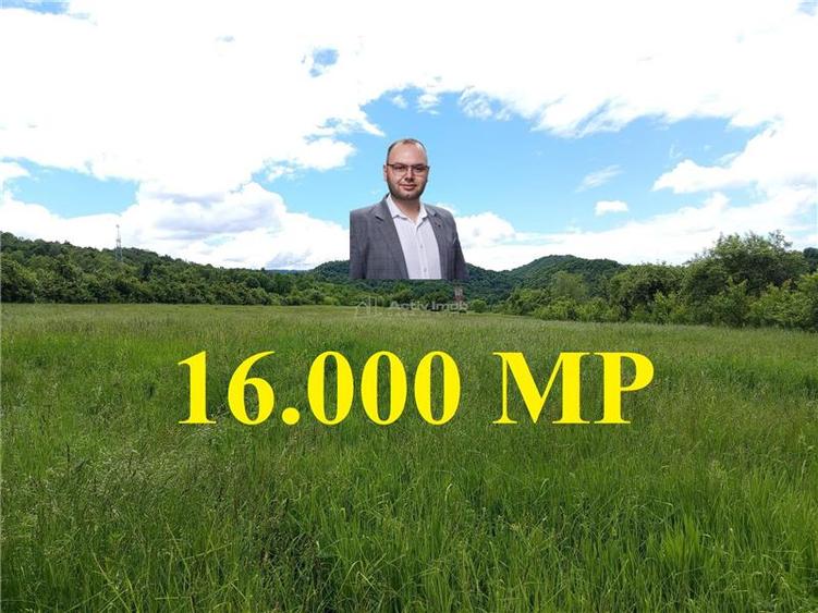 Borlovenii Noi, Teren Drept, 16000mp, la Limita Localitatii - 1