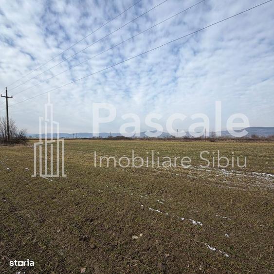 Teren De VanzareDn1, Intre Avrig Si Brasov | Potential Maxim - 1