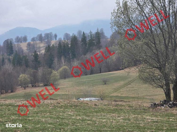 2 terenuri extravilane, Vama Buzaului,zona denumita ,,LENIEE,,! - 7