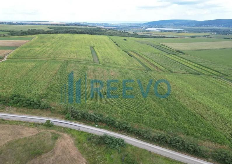 Teren de 3.600 mp Racova - 3