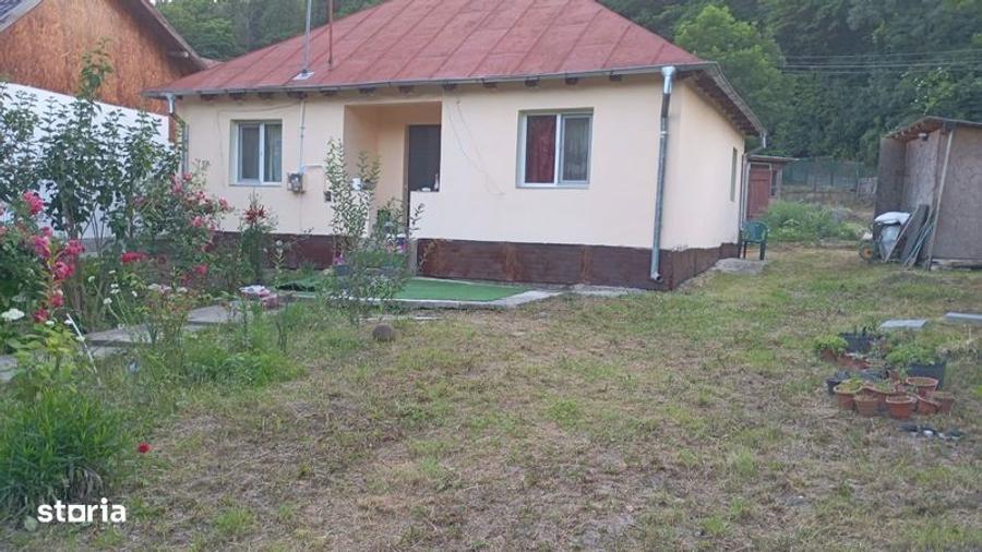 De vanzare casa+teren+anexa - 1