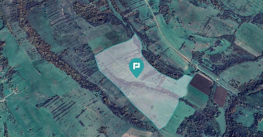 Teren de 87 Hectare de Arendat in Bara, Timi? - 7