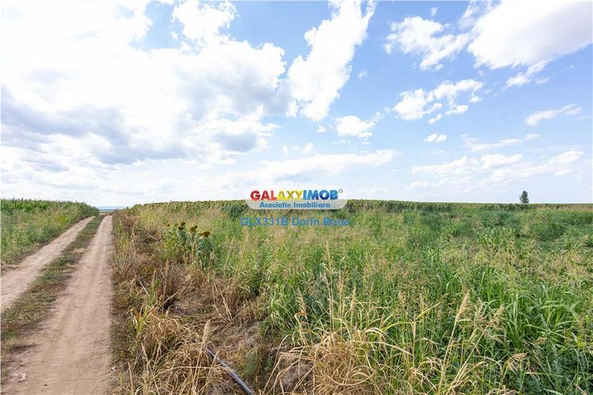 Teren agricol extravilan 2.6 ha - 26.000 mp - Valcelele, Buzau - 10