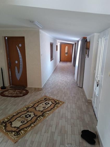 Casa individuala, teren 5200mp, oportunitate de investitie, Brodina - 12