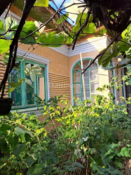 Vand casa cu 2500 mp teren curte