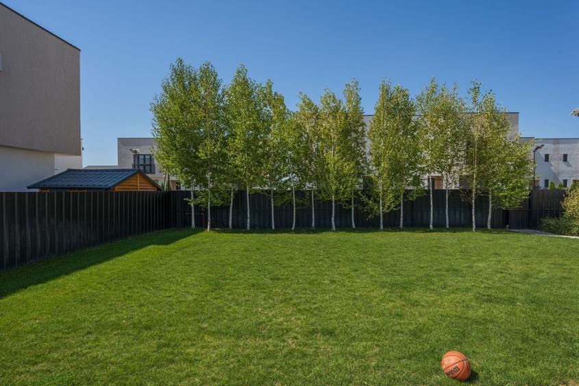 Casa cu Mesteceni!  Complex Lalelelor Domnești - 24