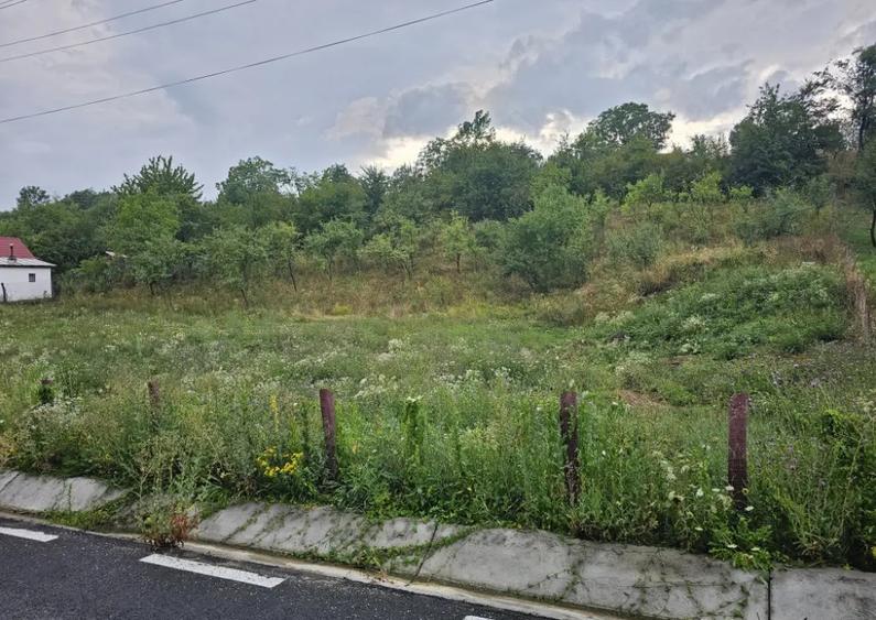 Loturi de vanzare teren 2090mp! - 6