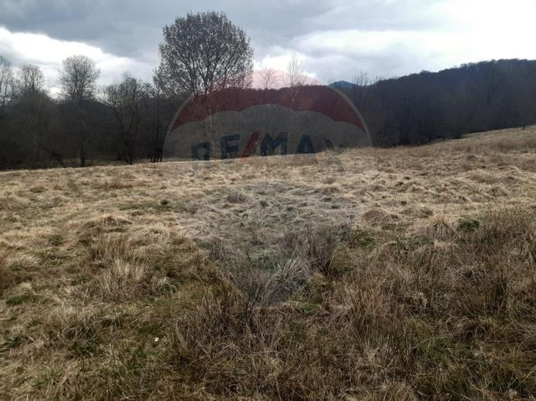 Teren 7,153mp Rasnov / Drumul DN 73A - 3