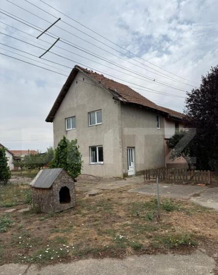 Ferma de Vanzare in judetul Timis, la nord est de Timisoara, - 12